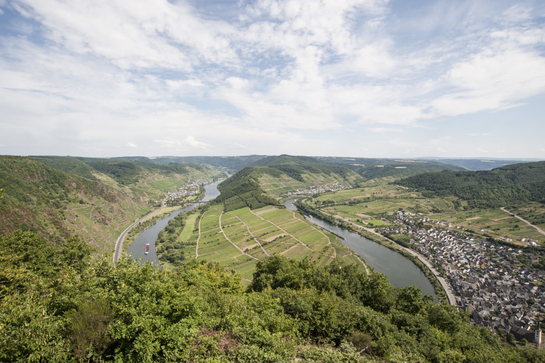 Mosel - Calmontblick Question Image