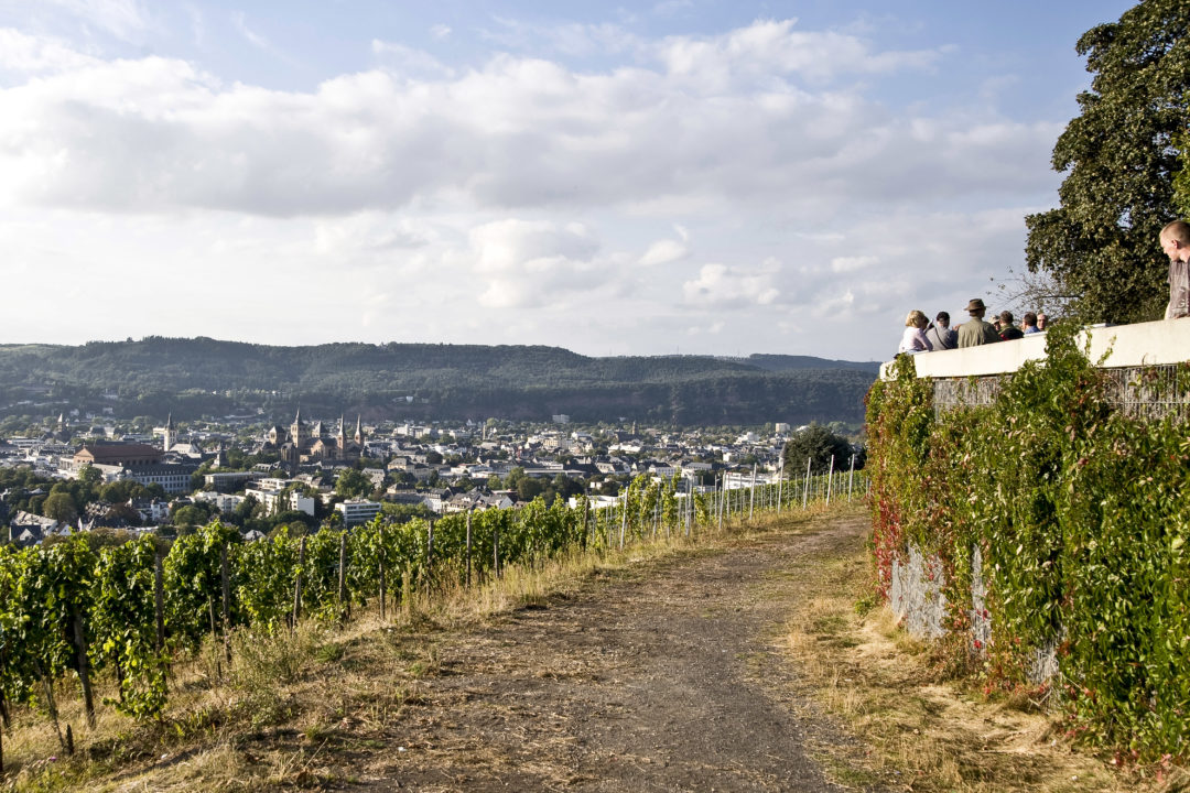 Aussichtpunkt Petrisberg Question Image