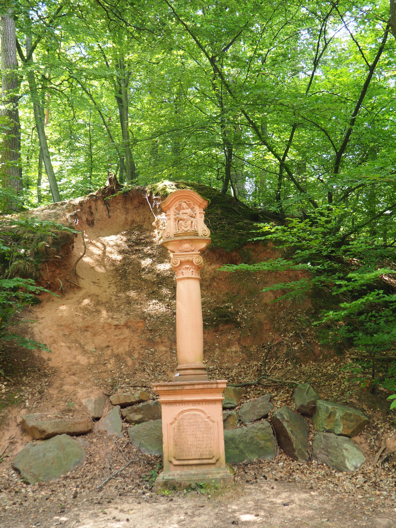 Bild des Schusterkreuz im Weisshauswald