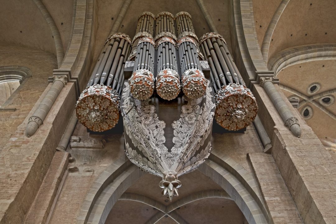Domorgel Trier Question Image