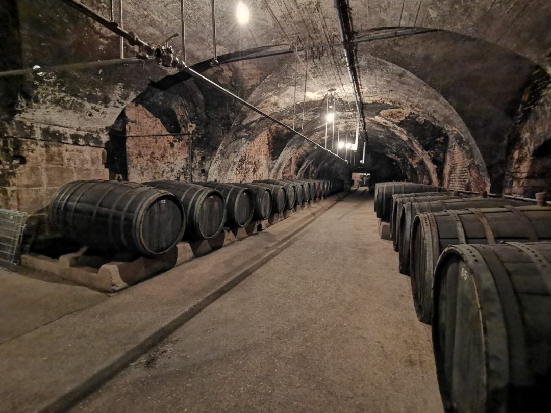 Funktionsgebaeude_Vereinigte_Hospitien_Weingut_VDP_Stiftung_Fuehrung_Aeltester_Weinkeller_Gewoelbe_Keller_Faesser_Wein_6_ttm Question Image